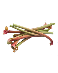 Rhubarb