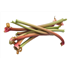 Rhubarb