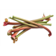 Rhubarb