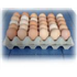 Tray of medium eggs