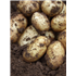 Local New Potatoes
