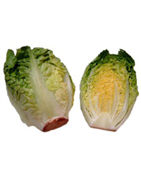 Little Gem Lettuce - pack of 2