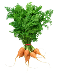 Baby Carrots