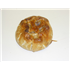 Fordhall Farm Pork & Stilton Pie (Large)