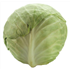White Cabbage