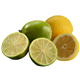 Citrus