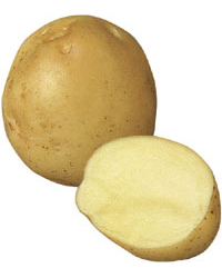 Marfona Potatoes - New Season (25kg)