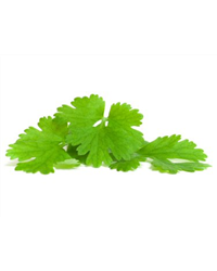 Fresh Coriander (50g)