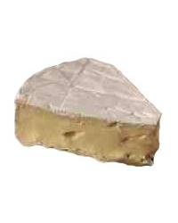 Chatel Individual Cornish Creamy Brie (200g)
