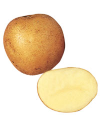 Maris Piper Potatoes (25kg)