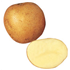 Maris Piper Potatoes (25kg)