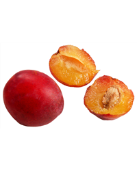 Victoria Plums