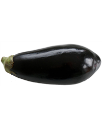 Aubergine