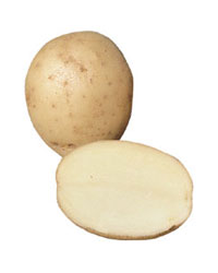 Estima Potatoes (25kg)