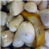Garlic Cloves, Lemon, Lime, Ginger & Thyme.