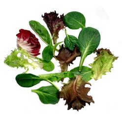 Baby Leaf Salad (125g)