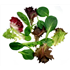 Baby Leaf Salad (125g)