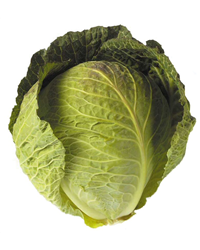 Bob's Summer Cabbage