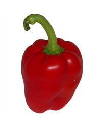 Red Peppers