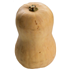Butternut Squash
