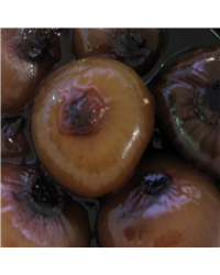 Borettane Onions