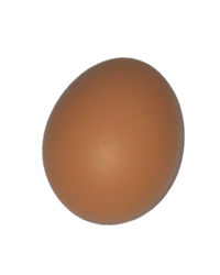 6 Extra Large Class A Eggs