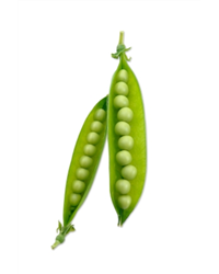 Peas In Pods