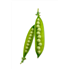 Peas In Pods