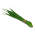 Chives (50g)