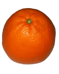Box Of 42 Oranges For Juicing
