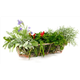 Fresh Herbs