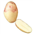 King Edward Potatoes (25kg)