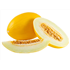 Honeydew Melon