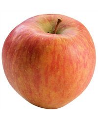 Braeburn Apples