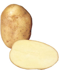 Wilja Potatoes (25kg)