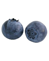 Blueberries (125g)