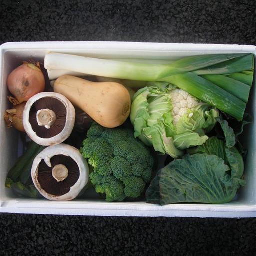 Veggie Box - Great Everyday Large