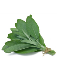 Fresh Sage (50g)