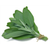 Fresh Sage (50g)