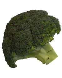 Broccoli