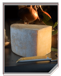 Belton Farm Double Gloucester