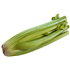 Celery