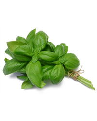 Fresh Basil (50g)