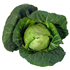 Hispi Cabbage
