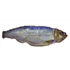 Bings Heath Smokery Smoked Kippers - 2 Whole