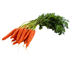 Bunched Carrots