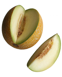 Galia Melon