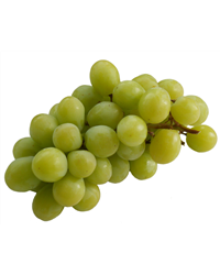 Seedless Green Grapes