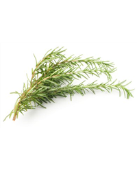 Fresh Rosemary (50g)