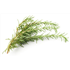 Fresh Rosemary (50g)